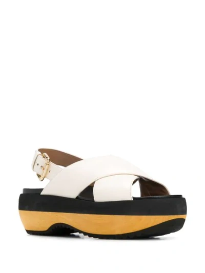 Shop Marni Platform Sole Sandals In White