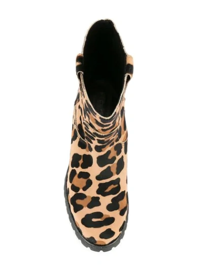 Shop P.a.r.o.s.h Leopard Print Ankle Boots In Brown