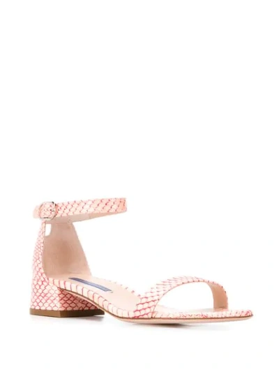 Shop Stuart Weitzman Low Heel Printed Sandals In Pink