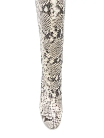 Shop Gia Couture Python Print Knee High Boots In White