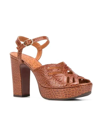 Shop Chie Mihara Fayna Nilo Sandals In Brown