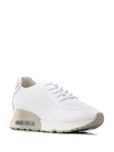 Shop Ash Lucky Knit Sneakers In White