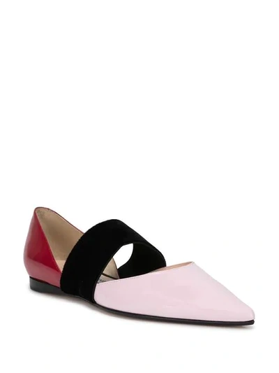 Shop Andrea Gomez Dakota Ballerinas In Pink