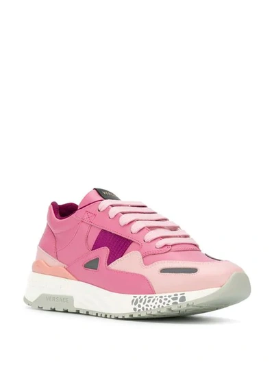 Shop Versace Achilles Sneakers In Pink