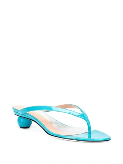 Shop Alchimia Di Ballin Strappy Sandals In Blue