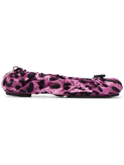 Shop Dolce & Gabbana Leopard Print Ballerinas In Purple