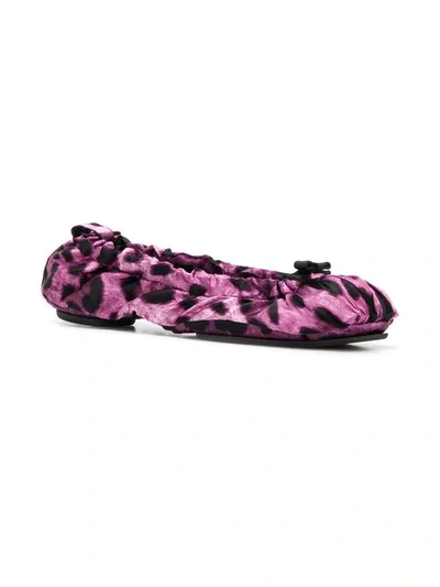 Shop Dolce & Gabbana Leopard Print Ballerinas In Purple