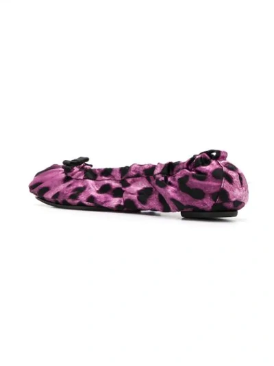 Shop Dolce & Gabbana Leopard Print Ballerinas In Purple