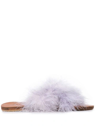 Shop Brother Vellies Fluff Detail Slides In Purple