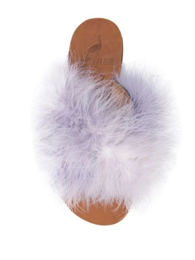 Shop Brother Vellies Fluff Detail Slides In Purple