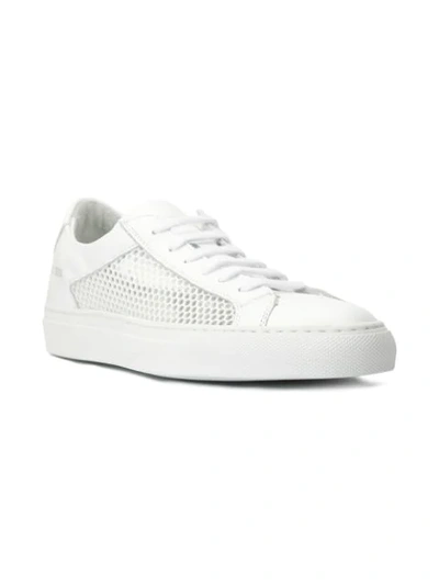 Shop Common Projects Achilles Sneakers In White