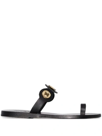 Shop Ancient Greek Sandals Evelina Flat Sandals In Black