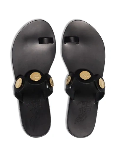 Shop Ancient Greek Sandals Evelina Flat Sandals In Black