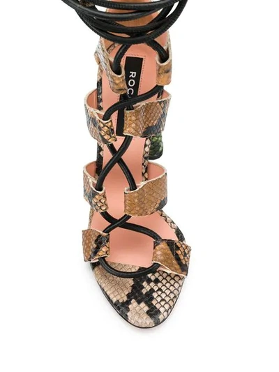 Shop Rochas Snakeskin-effect Sandals In Brown