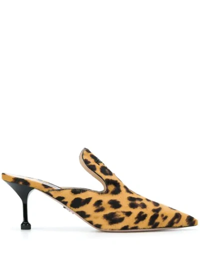 Shop Prada Leopard Print Pointed Toe Mules In F0g3p