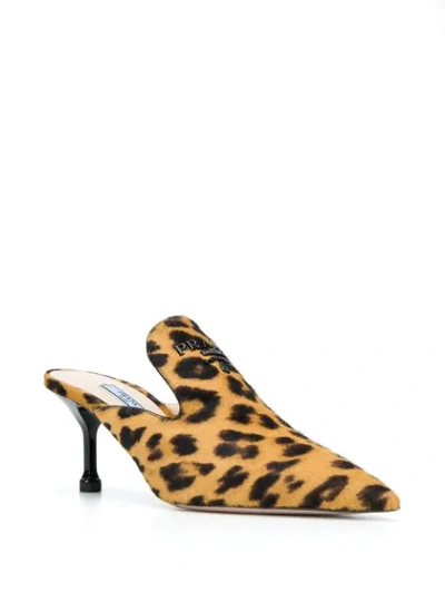 Shop Prada Leopard Print Pointed Toe Mules In F0g3p