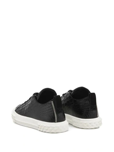 Shop Giuseppe Zanotti Low-top Sneakers In Black