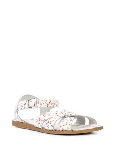 Shop Opening Ceremony X Saltwater Cherry Sandals In White