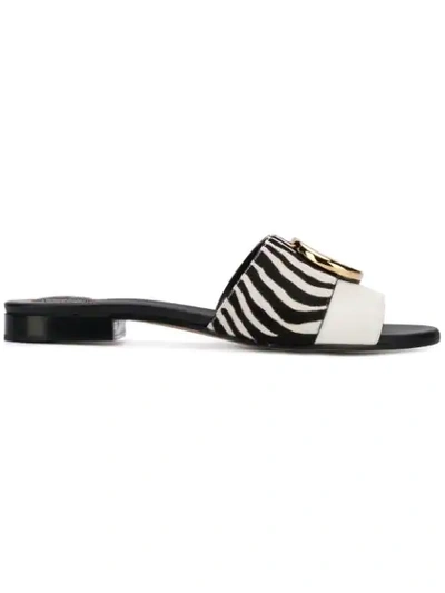 Shop Chloé Zebra Stripe Mule Slides In White