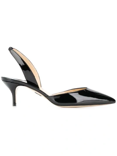 Shop Paul Andrew Rhea Pumps In Black