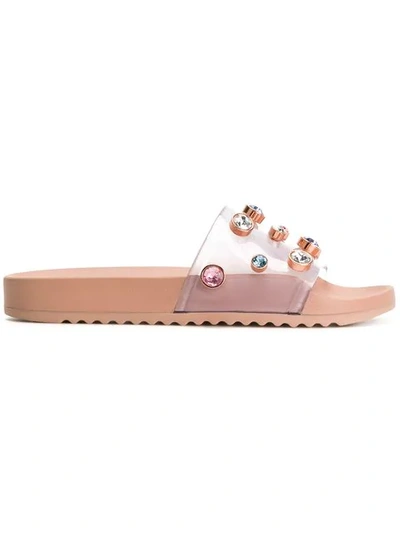 Dina crystal slides