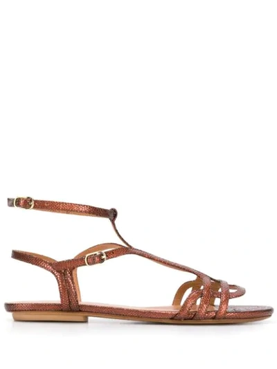 Shop Chie Mihara Yael Sandals In Brown