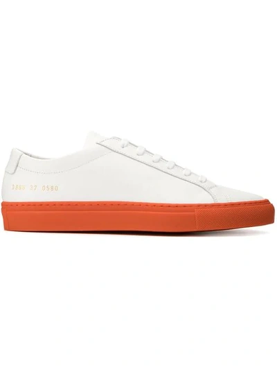 Shop Common Projects Achilles Sneakers In White