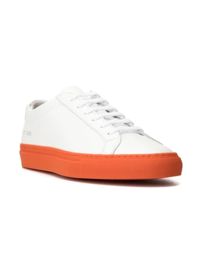 Shop Common Projects Achilles Sneakers In White