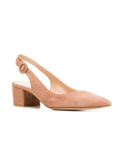 Shop Gianvito Rossi Amee Pumps In Pink