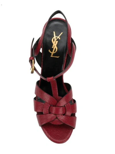 Shop Saint Laurent Tribute 105 Sandals In 2213 Cordovan