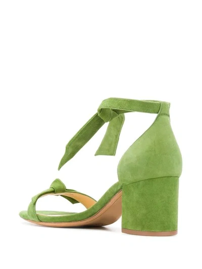 Shop Alexandre Birman Tie Ankle Sandals In Green