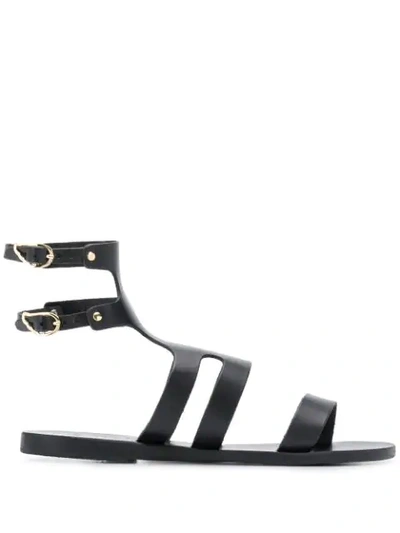 Shop Ancient Greek Sandals Agapi Gladiator Sandals In Black