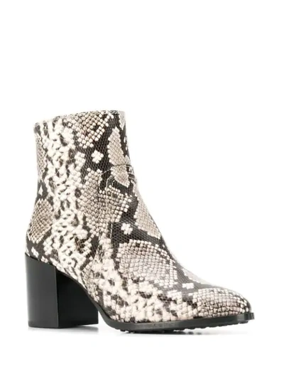 Shop Tod's Snakeskin Print Ankle Boots In Neutrals