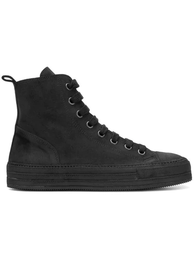 suede high-top sneakers