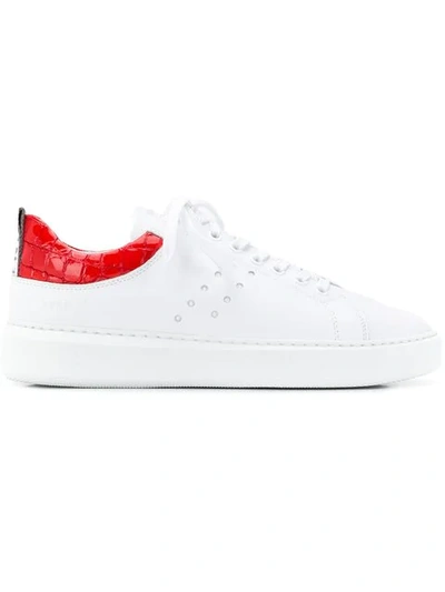 Shop Nubikk Roxcalf Sneakers In White