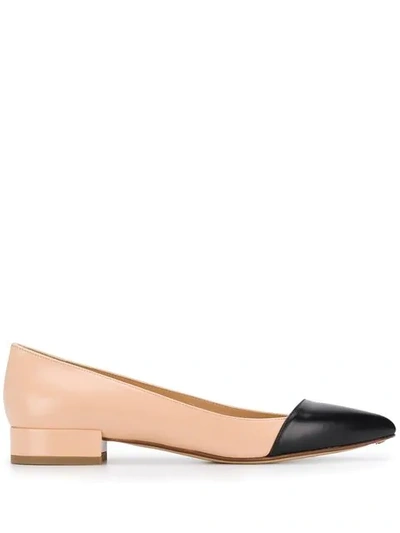 Shop Francesco Russo Pointed Ballerina Shoes In Pink