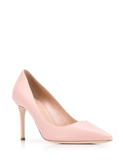 Shop Giuseppe Zanotti Pointed-toe Pumps In Pink