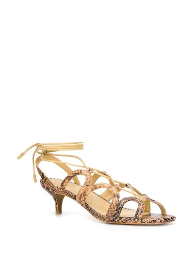 Shop Zimmermann Scallop Kitten Heel Sandals In Brown