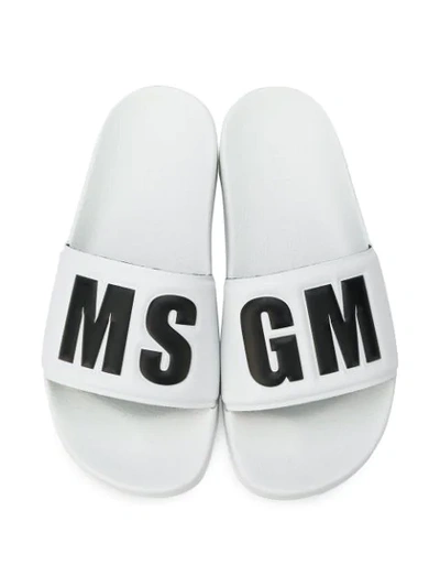 Shop Msgm Logo Slides - White