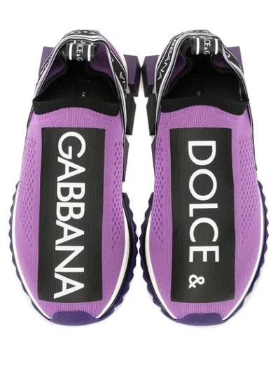 Shop Dolce & Gabbana Sorrento Sneakers In Purple
