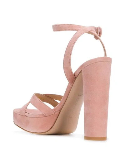 Shop Gianvito Rossi Poppy Platform Sandals In Pink