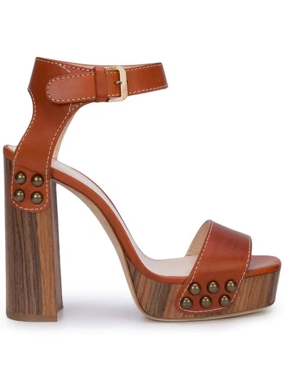 Shop Lanvin Stud Detail Sandals In Brown