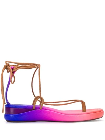 Shop Chloé Gradient-effect Sandals In Pink