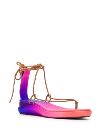 Shop Chloé Gradient-effect Sandals In Pink