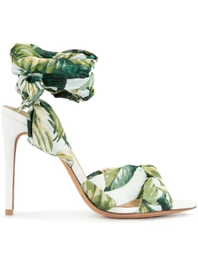 Shop Alexandre Birman Botanical Print Sandals In Green