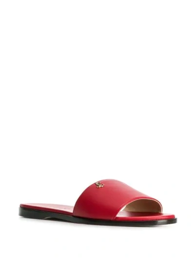 Shop Jimmy Choo Minea Flat Sandals In Red