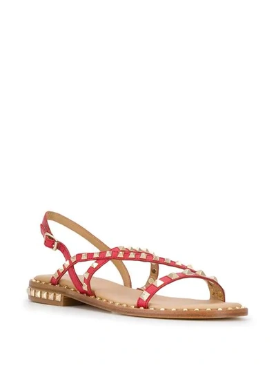 Shop Ash Studed Flat Sandals - Red