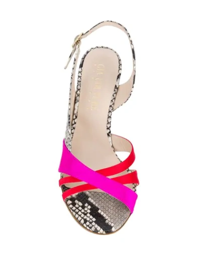 GIA COUTURE FRIDA SANDALS - 粉色