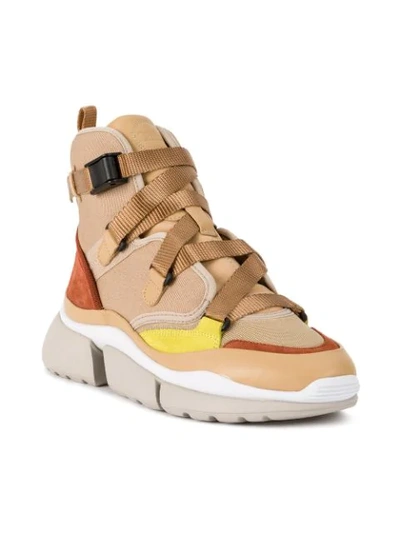 Shop Chloé Sonnie Hi-top Sneakers In Brown