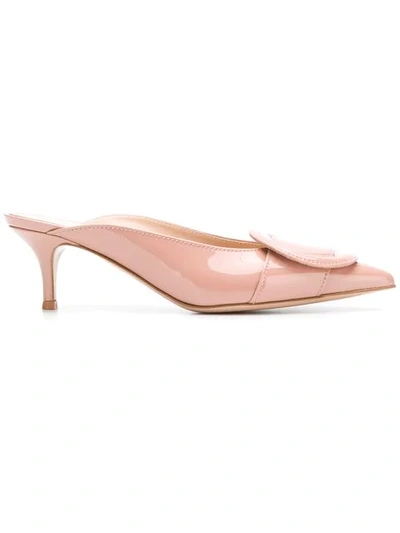 Shop Gianvito Rossi Buckle Embellished Pointed Mules In Pink